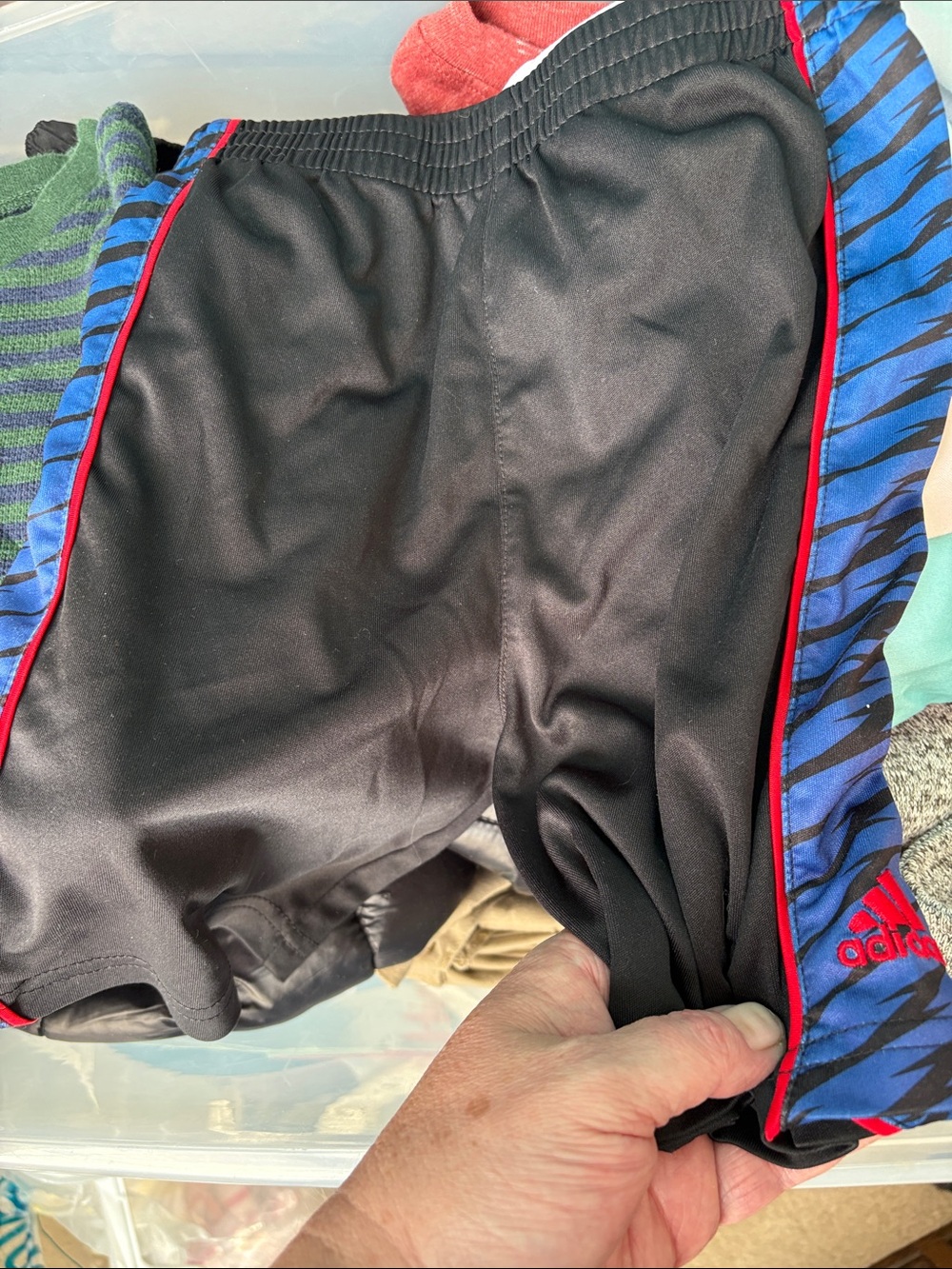 adidas Black Shorts with Blue Zebra Side Panels and Red Piping